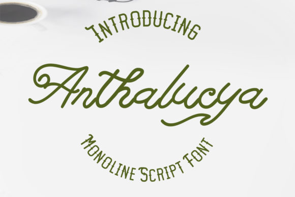 Reviewing Anthalucya: A Designer's Take on Script Amp