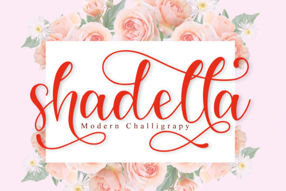 Shadella: A Premium Script Font for Modern Web Design